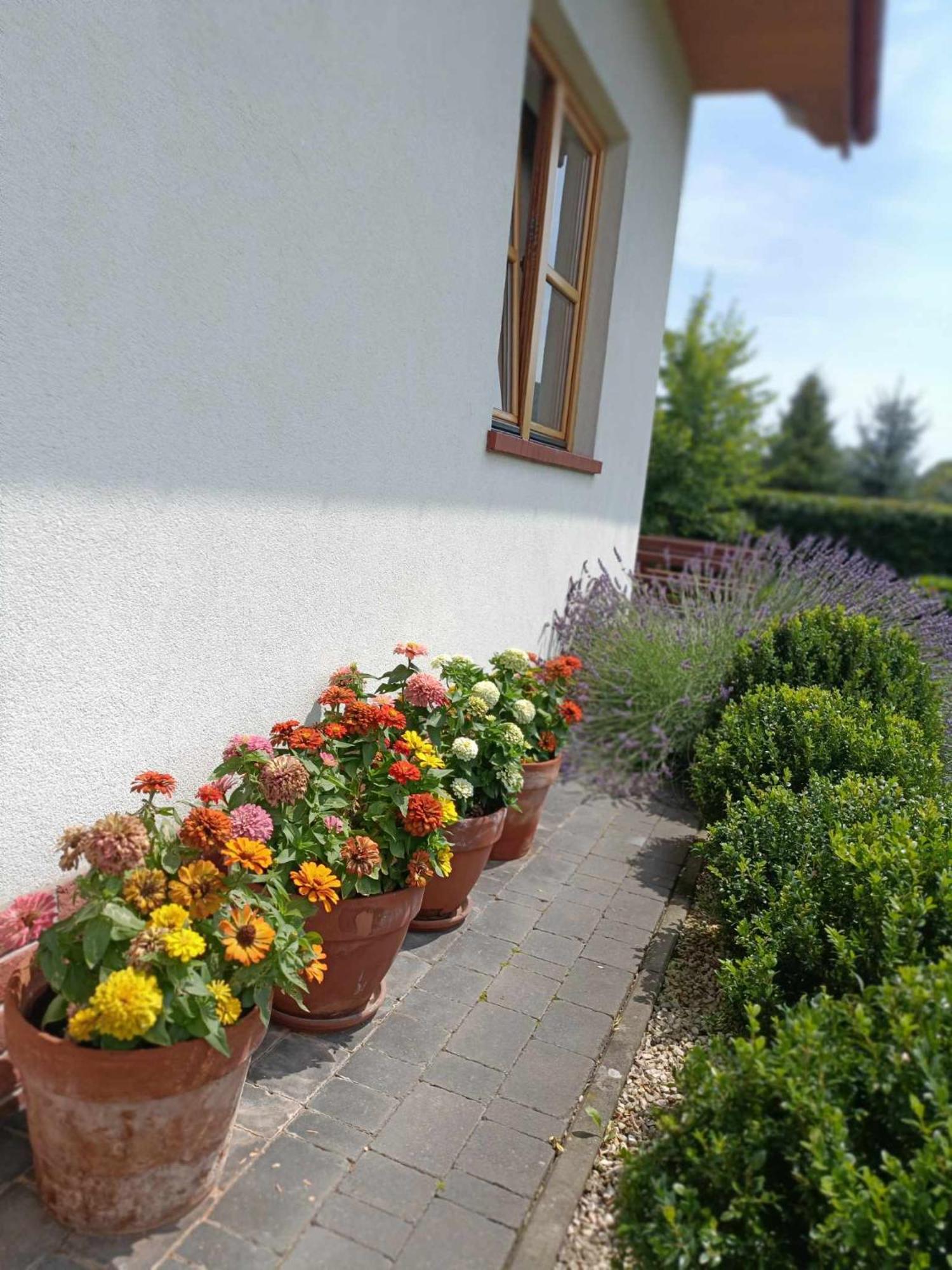 Noclegi Koniadów Solina  Exterior foto
